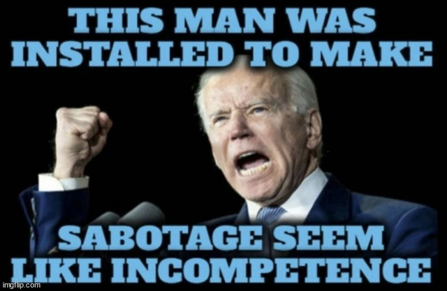 Installed like a toilet... | image tagged in puppet,joe biden | made w/ Imgflip meme maker