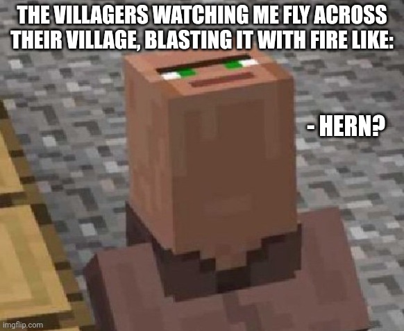 THE VILLAGERS WATCHING ME FLY ACROSS THEIR VILLAGE, BLASTING IT WITH FIRE LIKE:; - HERN? | made w/ Imgflip meme maker