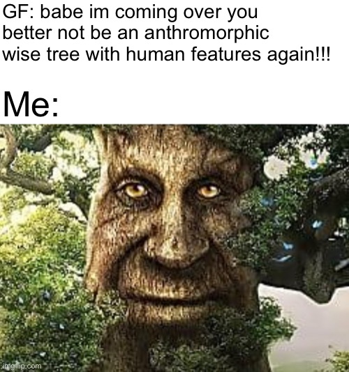 GF: babe im coming over you better not be an anthromorphic wise tree with human features again!!! Me: | made w/ Imgflip meme maker