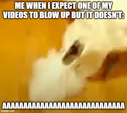 me when i expect one of my videos to blow up but it doesn't: |  ME WHEN I EXPECT ONE OF MY VIDEOS TO BLOW UP BUT IT DOESN'T:; AAAAAAAAAAAAAAAAAAAAAAAAAAAAA | image tagged in birb,bird,birds,memes,funny | made w/ Imgflip meme maker
