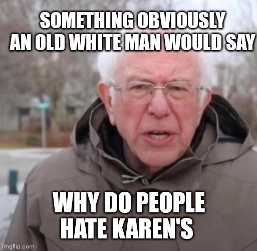 Old white men always defending Karen's | SOMETHING OBVIOUSLY AN OLD WHITE MAN WOULD SAY; WHY DO PEOPLE HATE KAREN'S | image tagged in funny memes | made w/ Imgflip meme maker