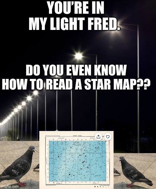 Birds reading star map first meme | YOU’RE IN MY LIGHT FRED. DO YOU EVEN KNOW HOW TO READ A STAR MAP?? | image tagged in migration,light pollution | made w/ Imgflip meme maker
