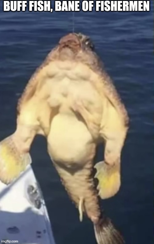 BUFF FISH, BANE OF FISHERMEN | made w/ Imgflip meme maker