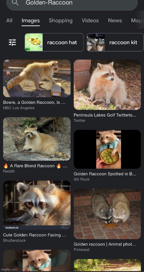 No one wants to Google myself so this | made w/ Imgflip meme maker