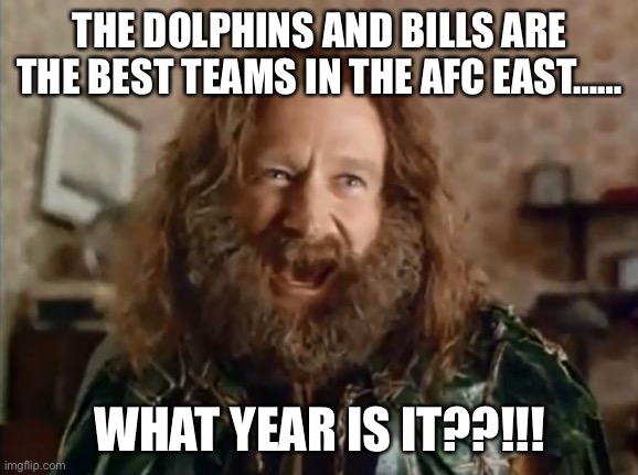 What Year Is It Meme | THE DOLPHINS AND BILLS ARE THE BEST TEAMS IN THE AFC EAST……; WHAT YEAR IS IT??!!! | image tagged in memes,what year is it,miamidolphins | made w/ Imgflip meme maker