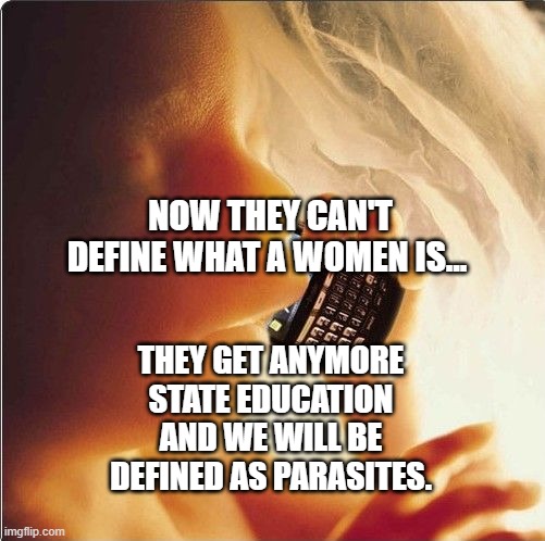 Baby in womb on cell phone - fetus blackberry | NOW THEY CAN'T DEFINE WHAT A WOMEN IS... THEY GET ANYMORE STATE EDUCATION AND WE WILL BE DEFINED AS PARASITES. | image tagged in baby in womb on cell phone - fetus blackberry | made w/ Imgflip meme maker