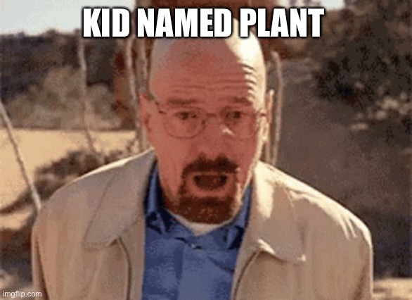 Walter White falling | KID NAMED PLANT | image tagged in walter white falling | made w/ Imgflip meme maker