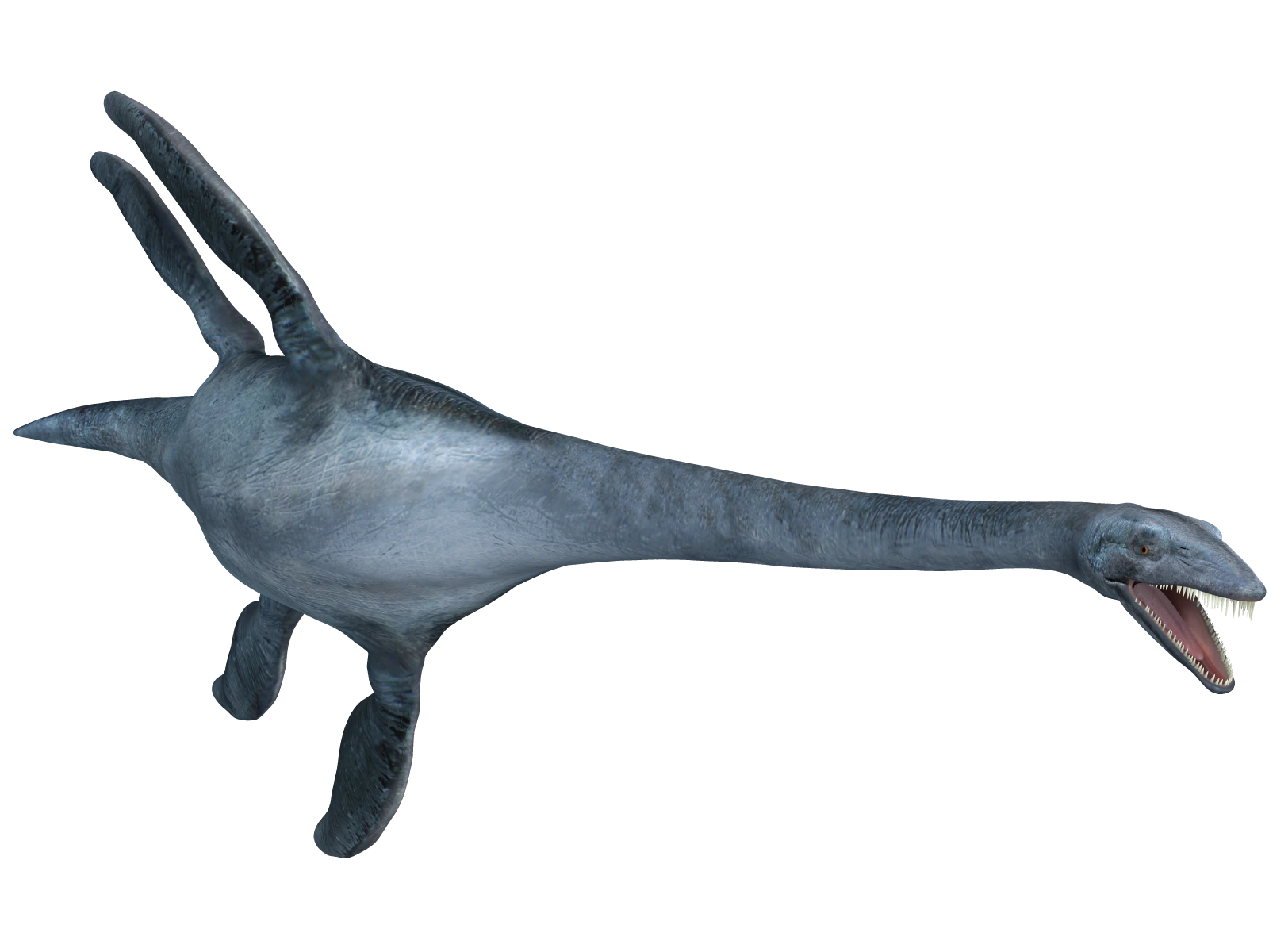 High Quality Elasmosaurus Blank Meme Template