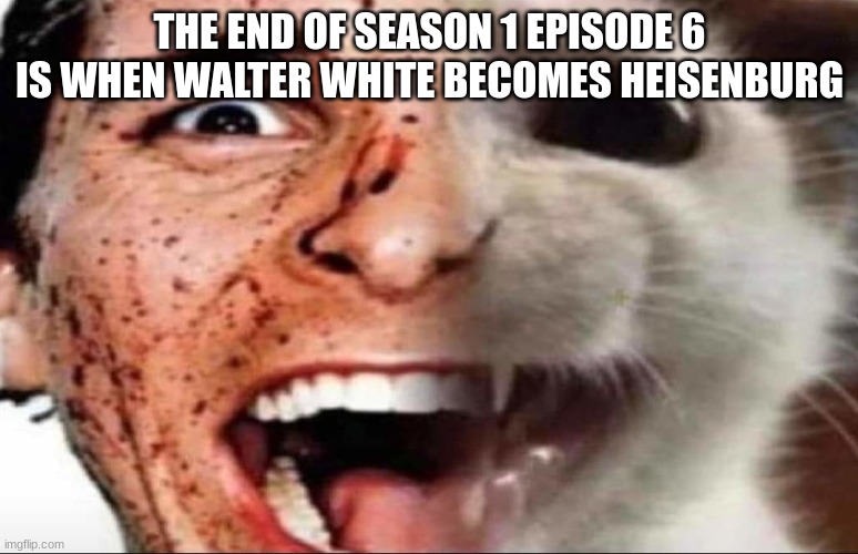 american psycho cat | THE END OF SEASON 1 EPISODE 6 IS WHEN WALTER WHITE BECOMES HEISENBURG | image tagged in american psycho cat | made w/ Imgflip meme maker