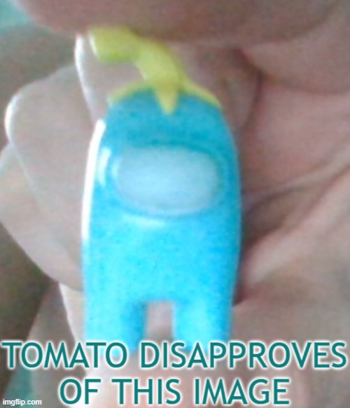 Tomato Disapproves of This Image | image tagged in tomato disapproves of this image | made w/ Imgflip meme maker