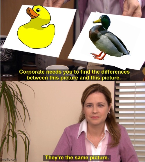 images be like | image tagged in memes,they're the same picture | made w/ Imgflip meme maker