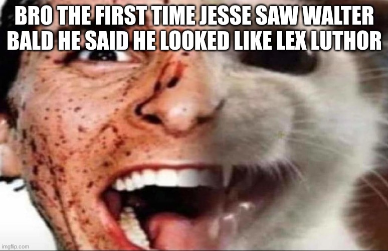 american psycho cat | BRO THE FIRST TIME JESSE SAW WALTER BALD HE SAID HE LOOKED LIKE LEX LUTHOR | image tagged in american psycho cat | made w/ Imgflip meme maker