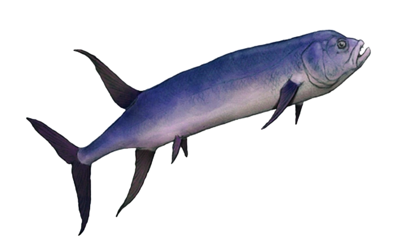 Gillicus Blank Meme Template