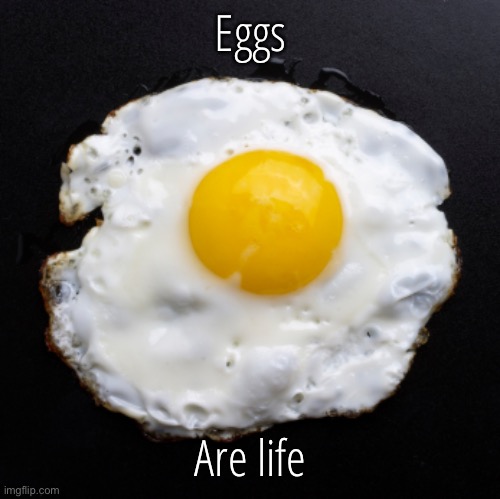 Eggs | Eggs; Are life | image tagged in eggs | made w/ Imgflip meme maker