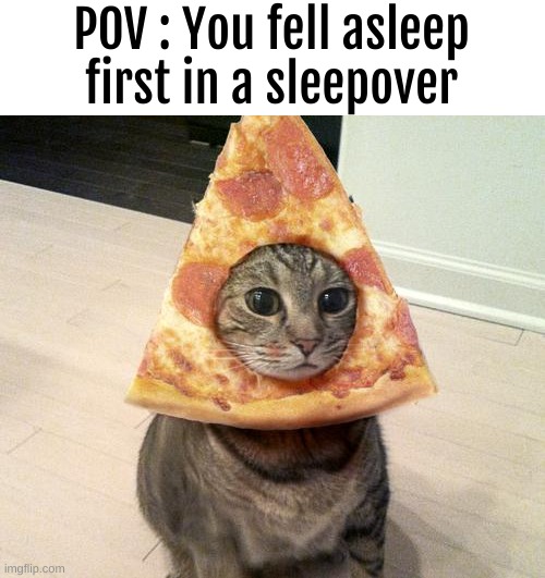 . | POV : You fell asleep first in a sleepover | image tagged in pizza cat | made w/ Imgflip meme maker