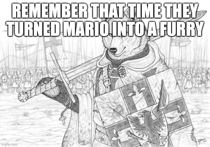 context? what's that? | REMEMBER THAT TIME THEY TURNED MARIO INTO A FURRY | image tagged in fursader | made w/ Imgflip meme maker