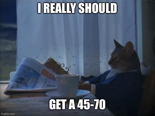 i should cat | I REALLY SHOULD; GET A 45-70 | image tagged in i should cat | made w/ Imgflip meme maker