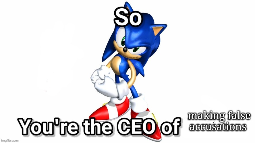 so you're the CEO of | making false accusations | image tagged in so you're the ceo of | made w/ Imgflip meme maker
