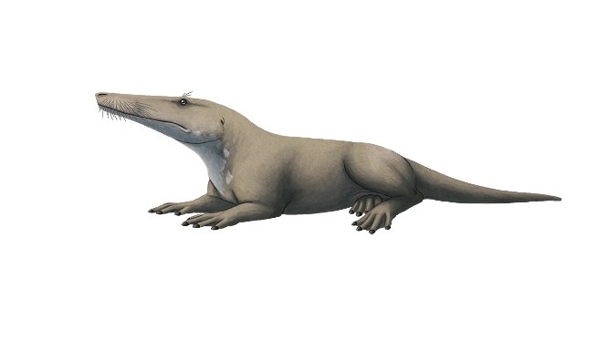 High Quality Ambulocetus (On Land) Blank Meme Template