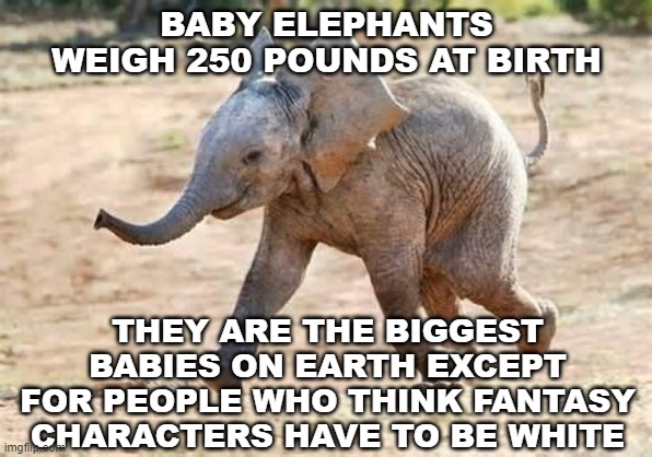 Racism and Fantasy | BABY ELEPHANTS WEIGH 250 POUNDS AT BIRTH; THEY ARE THE BIGGEST BABIES ON EARTH EXCEPT FOR PEOPLE WHO THINK FANTASY CHARACTERS HAVE TO BE WHITE | image tagged in racists,lord of the rings,rings of power,the little mermaid,house of the dragon,fantasy | made w/ Imgflip meme maker