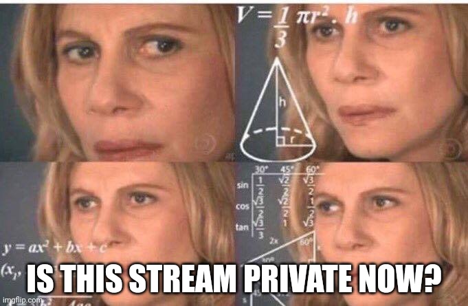 Math lady/Confused lady | IS THIS STREAM PRIVATE NOW? | image tagged in math lady/confused lady | made w/ Imgflip meme maker