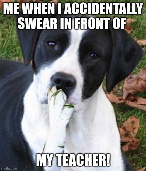 oops i did it again!! | ME WHEN I ACCIDENTALLY SWEAR IN FRONT OF; MY TEACHER! | image tagged in dog hmmmm | made w/ Imgflip meme maker