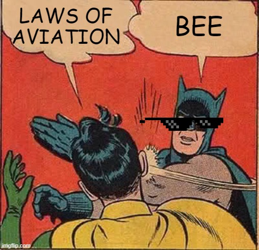 yes | LAWS OF AVIATION; BEE | image tagged in memes,batman slapping robin | made w/ Imgflip meme maker