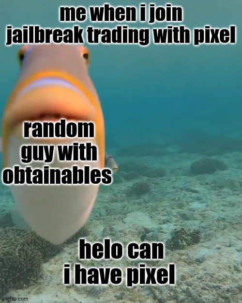 every jailbreak trader be like: | me when i join jailbreak trading with pixel; random guy with obtainables; helo can i have pixel | image tagged in staring fish | made w/ Imgflip meme maker