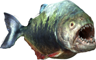 Megapiranha Blank Meme Template