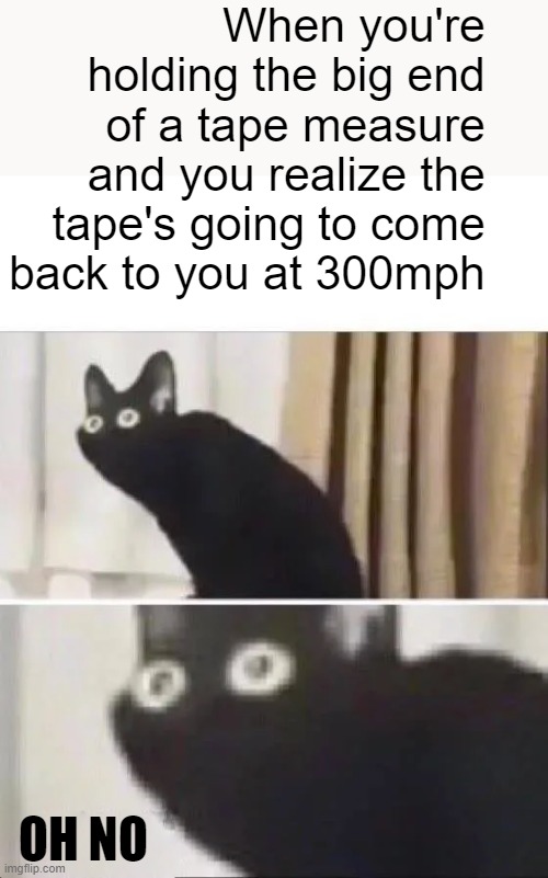 I now know never to play with a tape measure! |  When you're holding the big end of a tape measure and you realize the tape's going to come back to you at 300mph; OH NO | image tagged in oh no black cat | made w/ Imgflip meme maker