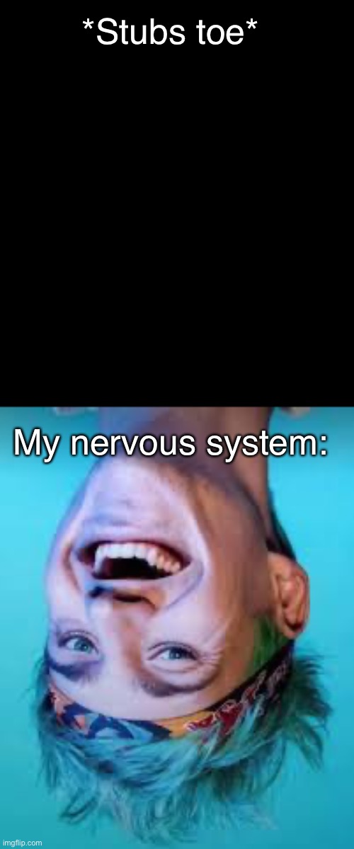 ? | *Stubs toe*; My nervous system: | image tagged in ouch | made w/ Imgflip meme maker