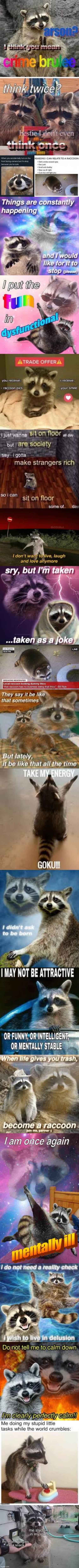 Long meme | image tagged in raccoons,long memes lol | made w/ Imgflip meme maker