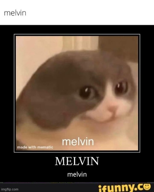 Melvin | image tagged in melvin | made w/ Imgflip meme maker