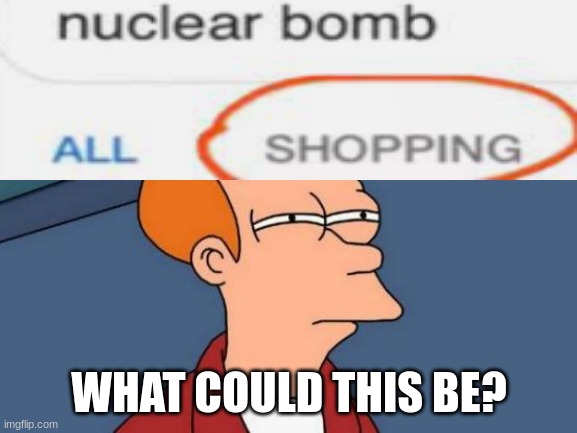 What could this be? | WHAT COULD THIS BE? | image tagged in memes,futurama fry | made w/ Imgflip meme maker