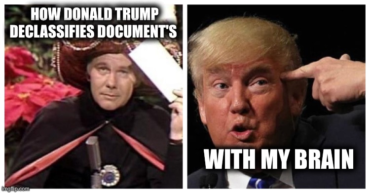 HOW DONALD TRUMP DECLASSIFIES DOCUMENT'S; WITH MY BRAIN | made w/ Imgflip meme maker