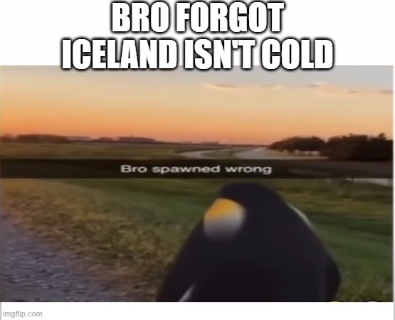 BRO FORGOT ICELAND ISN'T COLD | image tagged in white background,penguin,meme,memes,funny meme,iceland | made w/ Imgflip meme maker
