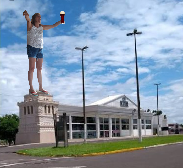 High Quality Véia da havan Blank Meme Template