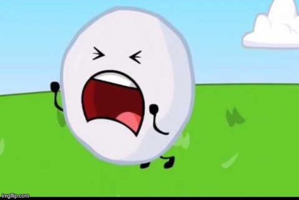 Member 32: Snowball | image tagged in bfdi snowball nooooo | made w/ Imgflip meme maker