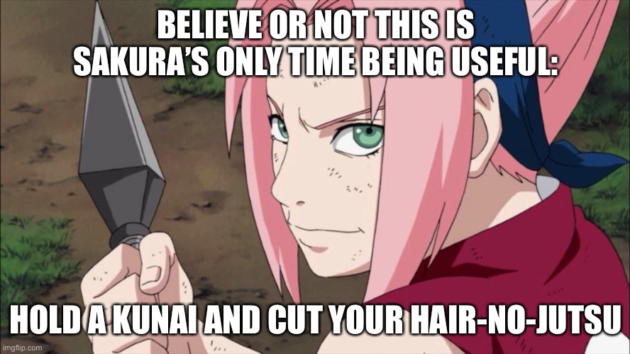 Cut hair-No-Jutsu | BELIEVE OR NOT THIS IS SAKURA’S ONLY TIME BEING USEFUL:; HOLD A KUNAI AND CUT YOUR HAIR-NO-JUTSU | image tagged in holding an kunai,kunai,memes,chunin exams,naruto shippuden,sakura haruno | made w/ Imgflip meme maker