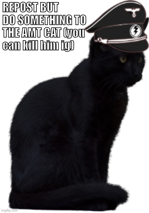 im also making an amt ball model for animations | REPOST BUT DO SOMETHING TO THE AMT CAT (you can kill him ig) | image tagged in memes,funny,black cat amt officer,aft,repost,idfk | made w/ Imgflip meme maker