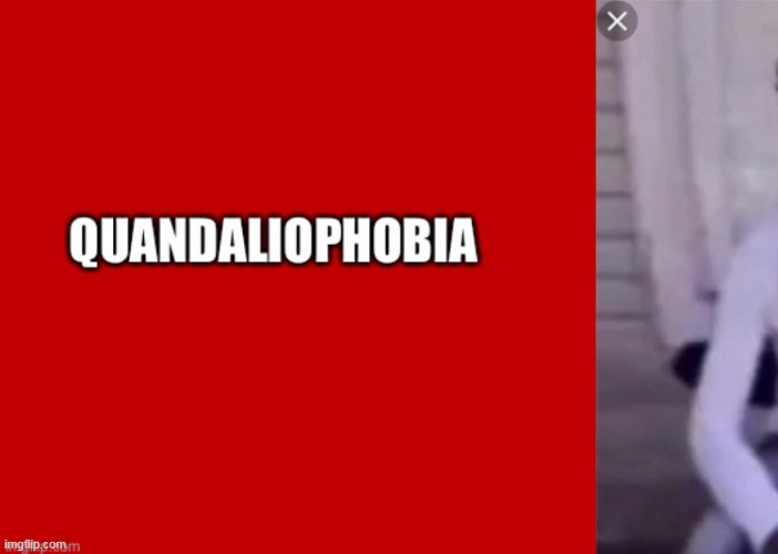 Quandaliophobia | image tagged in quandaliophobia | made w/ Imgflip meme maker