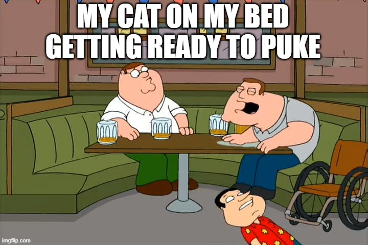 My cat did this a few days ago, figured this was accurate | MY CAT ON MY BED GETTING READY TO PUKE | image tagged in cats,cat,barf,funny memes,funny | made w/ Imgflip meme maker