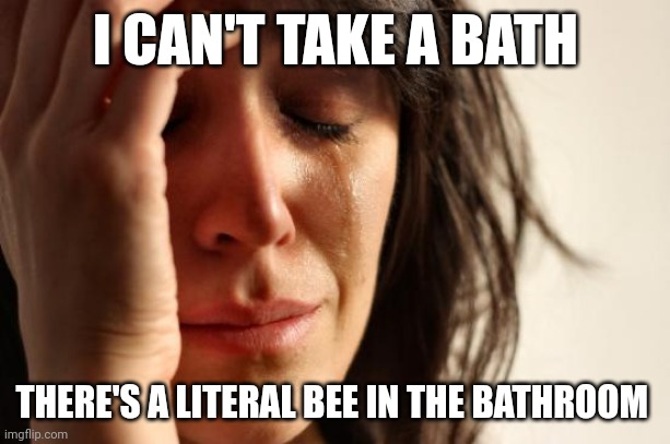 First World Problems | I CAN'T TAKE A BATH; THERE'S A LITERAL BEE IN THE BATHROOM | image tagged in memes,first world problems | made w/ Imgflip meme maker