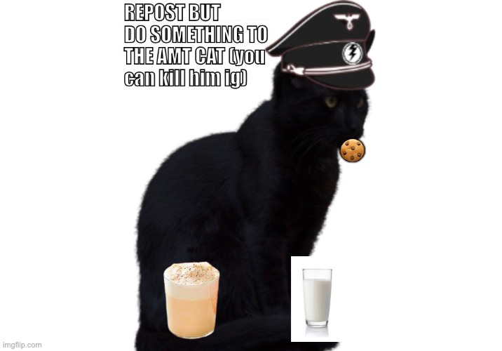 he even has eggnog | image tagged in cat,eggnog,milk,cookie | made w/ Imgflip meme maker