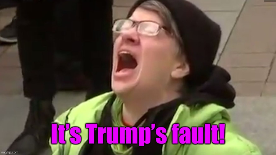 Screaming Liberal  | It’s Trump’s fault! | image tagged in screaming liberal | made w/ Imgflip meme maker