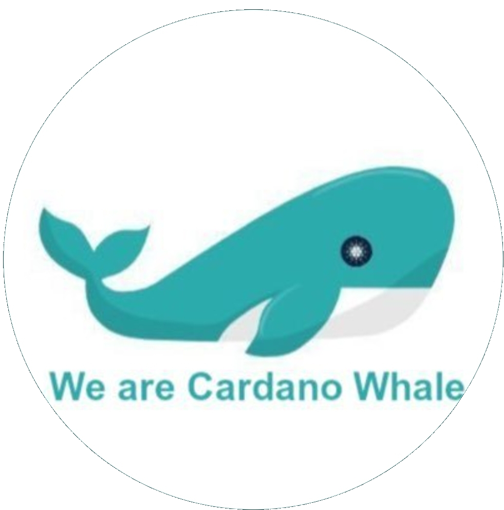 High Quality Cardano Whale Blank Meme Template