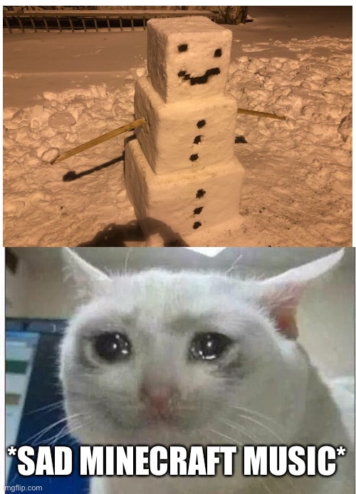Image not mine lol but oh my did this give me nostalgia |  *SAD MINECRAFT MUSIC* | image tagged in crying cat,nostalgia,minecraft,snowman,cats | made w/ Imgflip meme maker