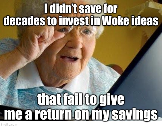 old lady at computer | I didn’t save for decades to invest in Woke ideas that fail to give me a return on my savings | image tagged in old lady at computer | made w/ Imgflip meme maker