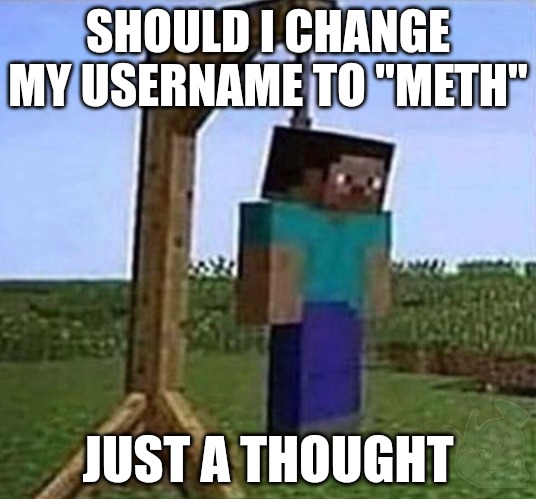 hang myself | SHOULD I CHANGE MY USERNAME TO "METH"; JUST A THOUGHT | image tagged in hang myself | made w/ Imgflip meme maker