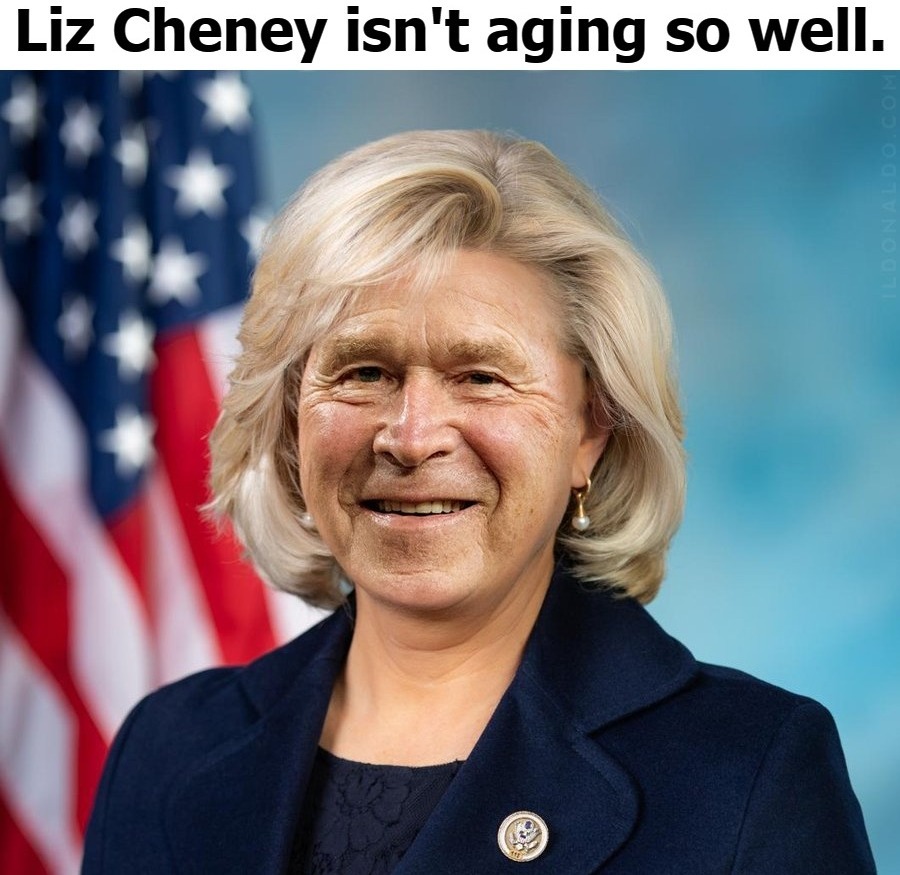 Liz Cheney isn't aging so well. Looks like there might have been a Bush in the woodpile. | image tagged in dubya,george w bush,funny,cucks,transrepublican,rino | made w/ Imgflip meme maker